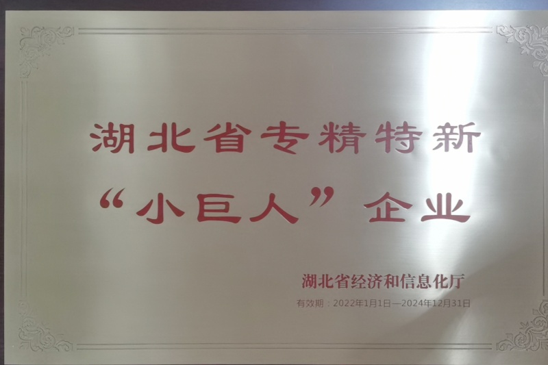 2022年公司獲得 湖北省專精特新“小巨人”企業 稱號